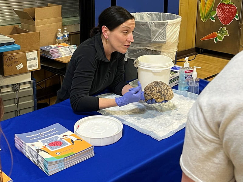 Erin Cekovich using a preserved human brain to teach kids about the warning signs of a stroke and how to stay healthy